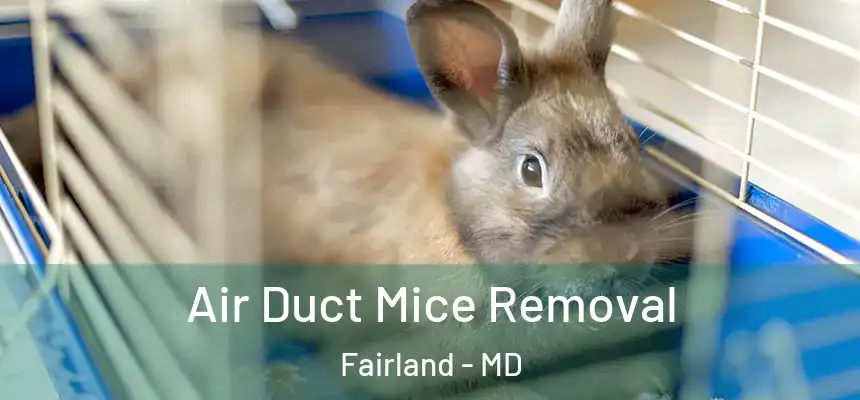  Air Duct Mice Removal Fairland - MD