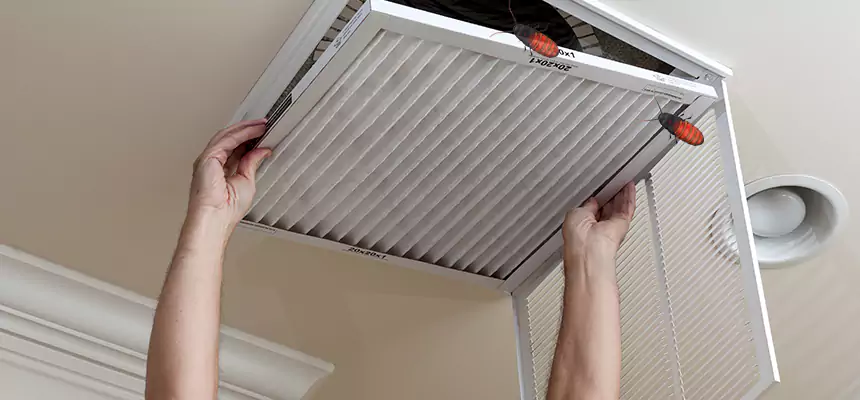Preventive Cockroach-Proofing for Ducts in Fairland