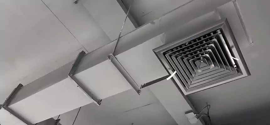 Our Rodent Droppings In Vents Services in Fairland, MD