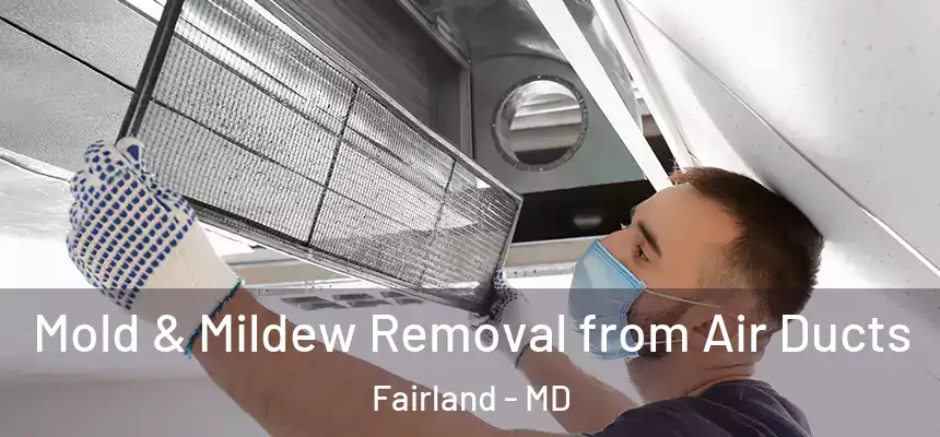  Mold & Mildew Removal from Air Ducts Fairland - MD