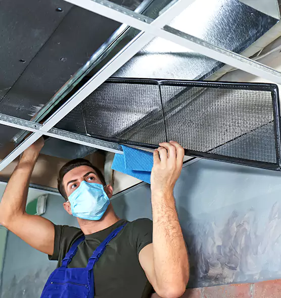 Professional Air Duct Pollen Cleaning in Fairland, MD