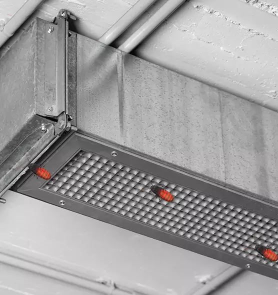 Affordable Insect Removal from Air Ducts in Fairland, MD